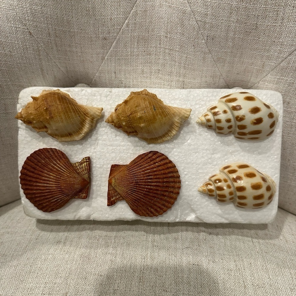 Sea Shell Napkin Ring Holders 12 Starfish Nautical Ocean Sea Beach Decor *NEW*